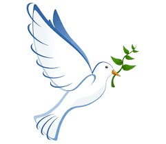 Davis Projects for Peace Logo